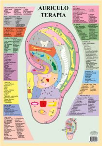 Auriculoterapia (1)
